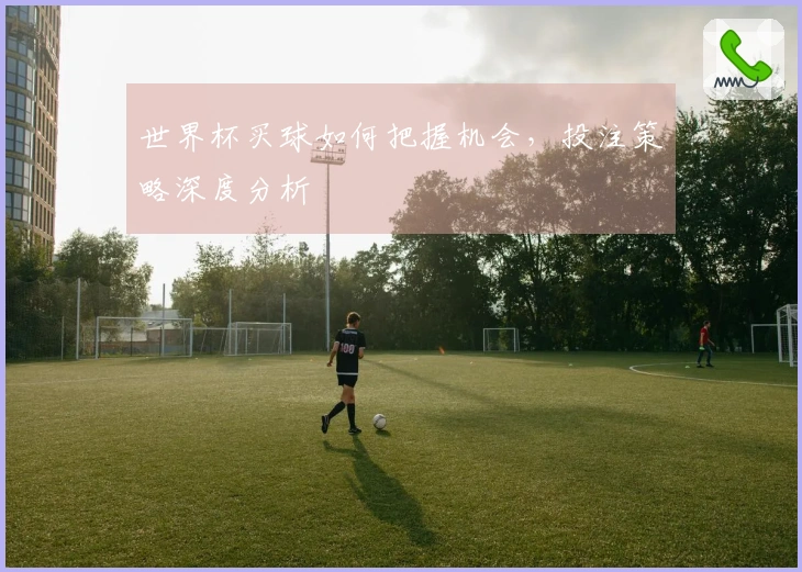 世界杯买球如何把握机会，投注策略深度分析