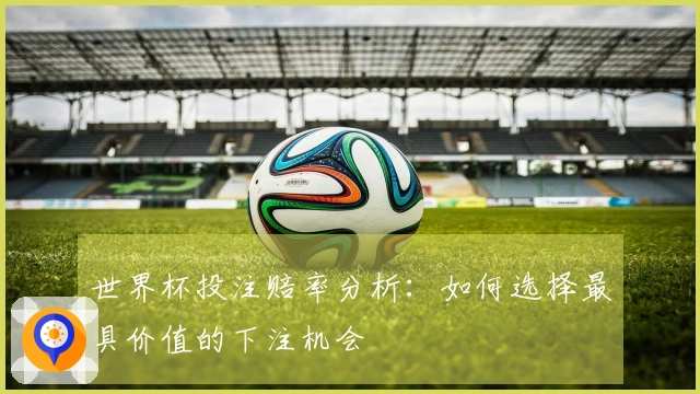 世界杯投注赔率分析：如何选择最具价值的下注机会