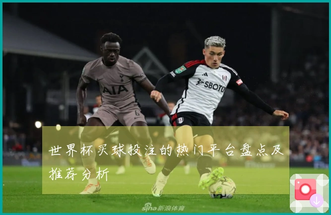 世界杯买球投注的热门平台盘点及推荐分析