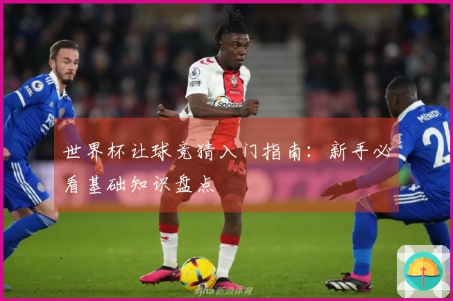 世界杯让球竞猜入门指南：新手必看基础知识盘点