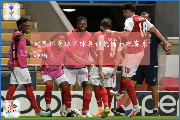 世界杯滚球买球真的能增加观赛乐趣吗